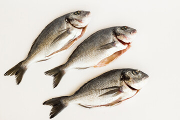 Three,uncooked sea bream fish on white surface with copy space,top view