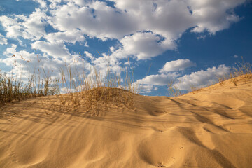 Beautiful desert landscape with dunes. Walk on a sunny day on the sands.