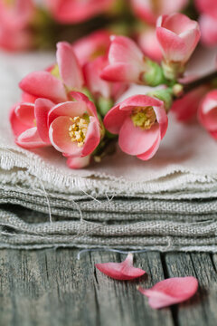 Cherry Blossom flowers and linen fabric