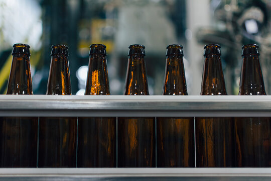 Empty bottles on bottling line