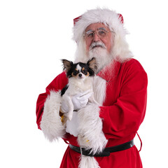 Santa Claus with a chihuhua in his hands