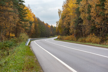 Fototapeta premium Empty road in autumn forest. Golden beautiful autumn in Russia. 