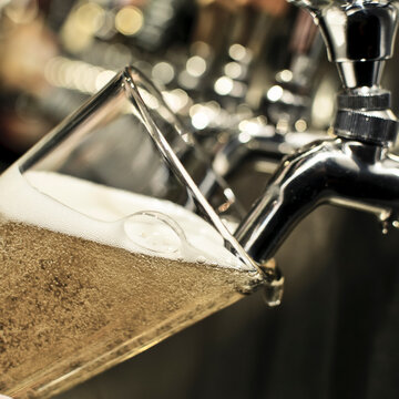 Draft Beer