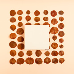 Autumn composition of dried leaves with card note on pastel background. Minimal fall concept. Flat lay, top view, copy space.