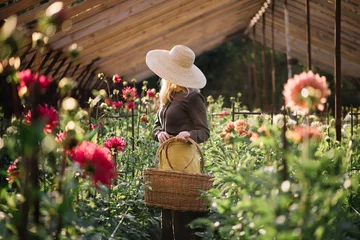 Schilderijen op glas Very nice young woman in a brown dress with a yellow apron and a hat, standing among the Dahlia fields in a greenhouse with a wicker basket, ready to harvest the flowers  © anastasianess