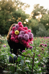 Beautiful curvy brunette young woman with a curly hair wearing jeans and a shirt, standing back to the camera at the dahlia farm, holding a bunch of freshly cut dahlia flowers in pink and purple color