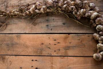 Organic garlic harvested and braided for winter storage.