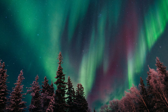 aurora borealis on december 21, 2014 at chena hot springs, fairbanks, alaska