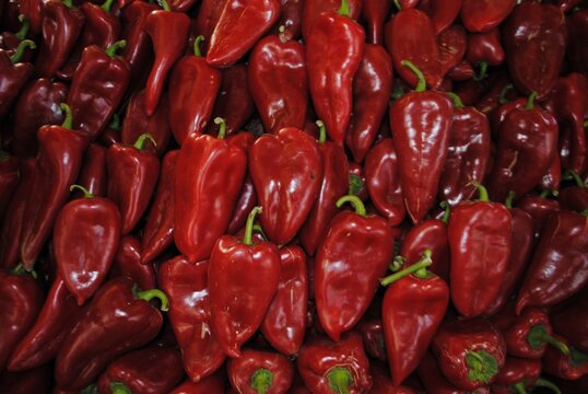 Red capia for fresh cooking and salads