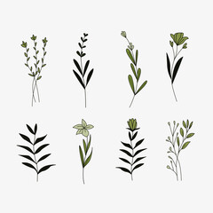 Set of floral elements. Flower and green leaves. Wedding concept - flowers. Floral poster, invite. Vector arrangements for greeting card or invitation design