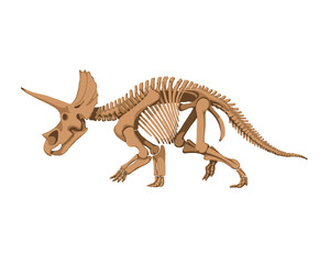 Study guide, skeleton of a prehistoric animal.  
Paleontological motives.