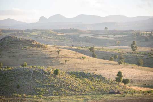 A backlit landscape shot with slight mist and rolling hills.