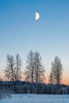 winter moon