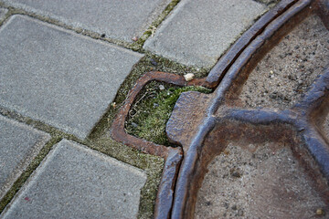 Iron old sewer hatch in the ground. Green moss. Grey rectangle street tiles