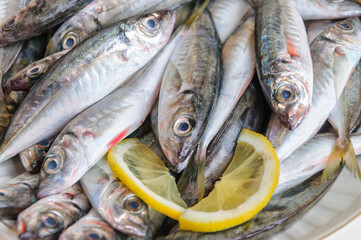Scads freshly caught from the Black Sea.