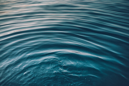 Ripples on Seawater Surface