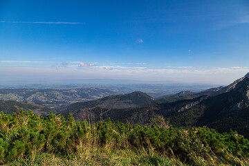 landscape with mountains. Mountain pine and blue sky