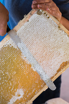 Beekeeper scraping wax from the honeycomb mats