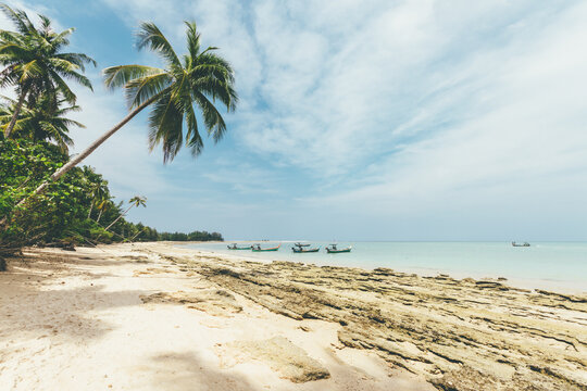 sandy beach with palms and longtail boats