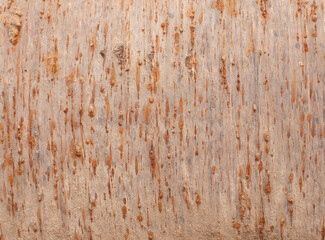 Fototapeta premium Texture of rough metal - cast old iron.