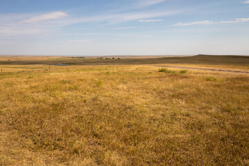 Fototapeta na wymiar The Great Plains landscape in the morning of South Dakota