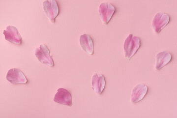 Floral background. Delicate pink petals on pink background.