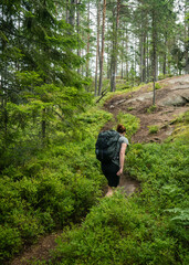 Obraz na płótnie Canvas hiker in the woods