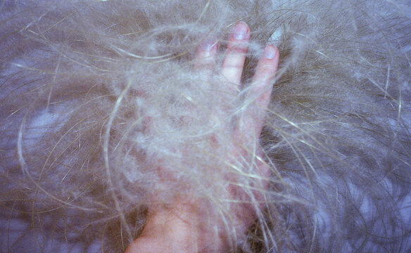 Female hand touching unusual plant