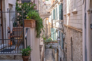 Dubrovnik: plants on the street