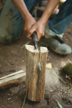 Firewood