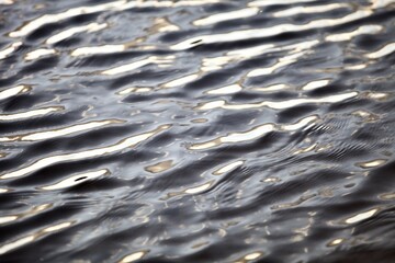 Silver surface of calm water with golden highlights and bright reflections close-up. Bright sun glare and beautiful glowing ripples on water surface close-up. Glowing waves on the water. Abstractions.