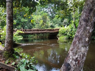 Amazon, Brazil