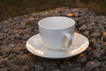 an empty white Cup stands on a rough stone surface at sunset