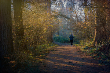 Morning Autumn Run n the Woods