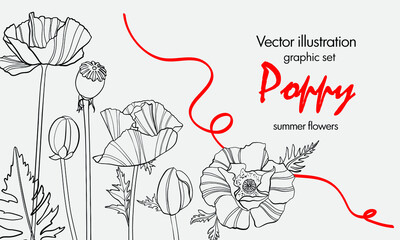 flower poppy linear drawing black and white monochronic vector illustration flyer poster set for design