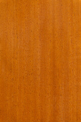 Fototapeta premium wood texture background