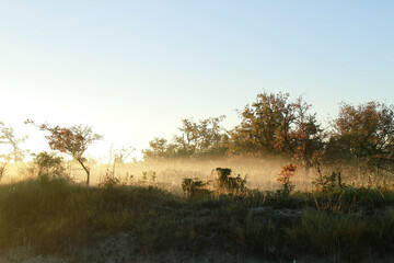 Fototapeta na wymiar Quercy dans la brume du matin 4