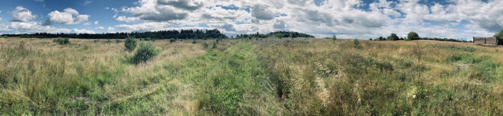landscape with trees