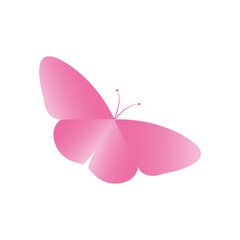 beautiful pink butterfly icon, flat style