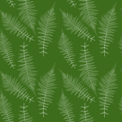 Fern Leaf Vector Fern Leaf Vector Seamless Pattern Background Illustration