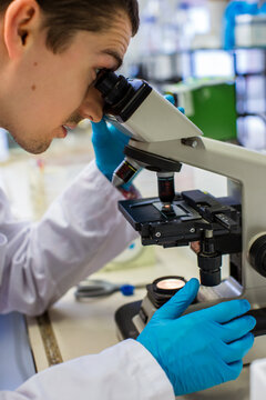 Scientist Looking Through the Microscope