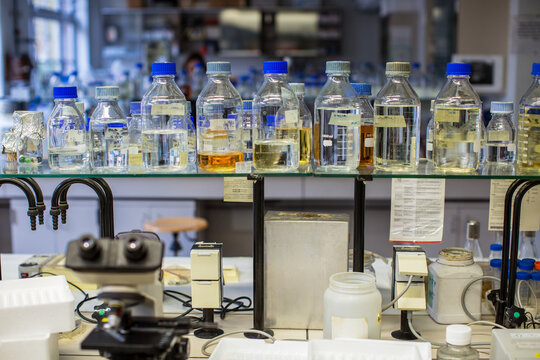 University Chemistry Lab