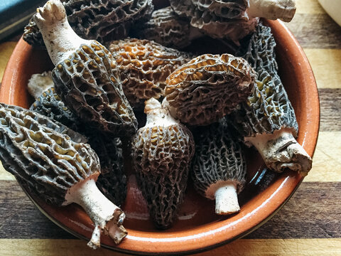 Ceramic bowl with wild morel mushrooms