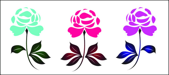 Colorful rose flowers isolated on white background - vector illustration