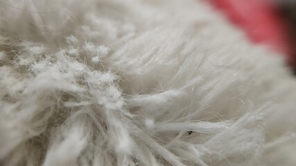 Macro wool