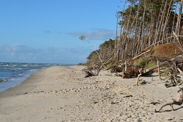 K&uuml;stenlandschaft am Dar&szlig;