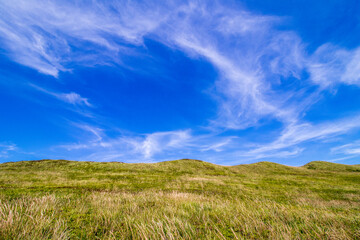Field of grass and sky on polonyna in Beskids Mountain's 