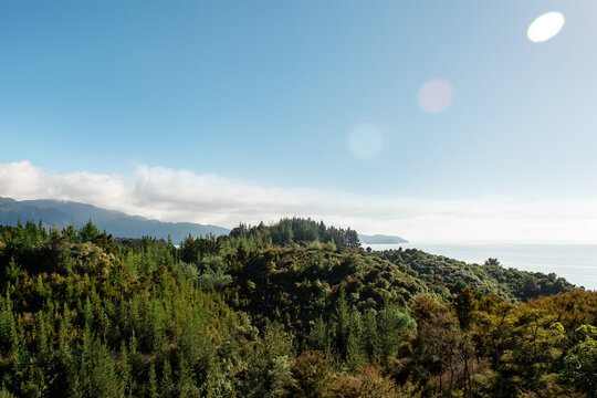 A beautiful day in the Abel Tasman National Park in New Zealand