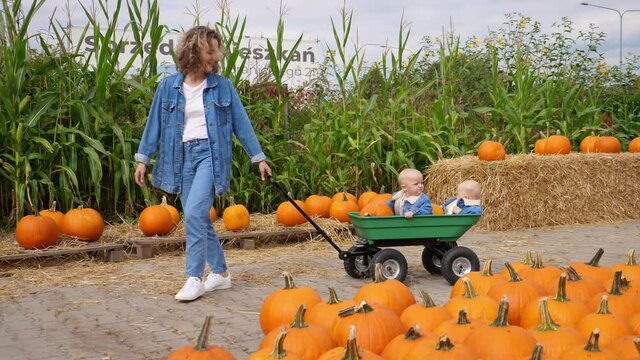 Young mom pulling her twin babies in a wagon in the pumpkin patch. Happy family concept