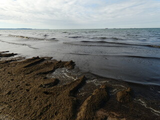 Seascape with seaside covered with green algae, Gdansk, Poland